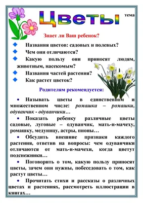 12 полевых цветов, которые встречаются в Туле. Обзор от fiftyflowers.ru