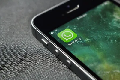 Как перенести WhatsApp на другой смартфон: инструкция для iPhone и  Android-гаджетов. Cтатьи, тесты, обзоры