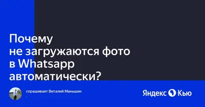 Ответы Mail.ru: Почему не загружаются фото в Whatsapp автоматически?