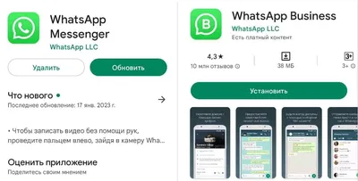 Минцифры: у мессенджера WhatsApp «всё будет хорошо» / Хабр