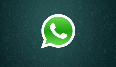 Pact - Как добавить аккаунт WhatsApp Business в профиль Instagram*
