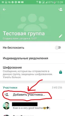 Как восстановить переписку в WhatsApp после удаления: инструкция