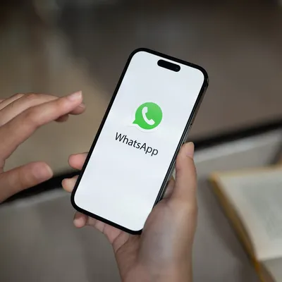 Бизнес-аккаунт WhatsApp: полная инструкция по использованию
