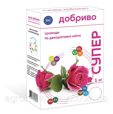 У розы странные листья – что с ней и что делать? | В цветнике (Огород.ru)