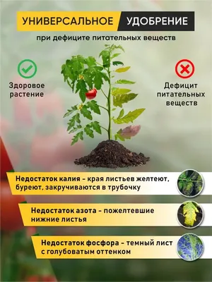 VIP-сад -питомник саженцев роз - ❗❗❗Признаки недостатка или избытка  элементов питания у роз 🌹⠀ ⠀ АЗОТ⠀ 😟недостаток вызывает пожелтение и  покраснение листьев,их измельчание, а иногда и появление бурых пятен. ⠀ 🥴  при
