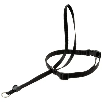 Купить недоуздок для собак COA HALTI Headcollar, Size 4, красный, шея 46-62  см, цены на Мегамаркет | Артикул: 600000519462