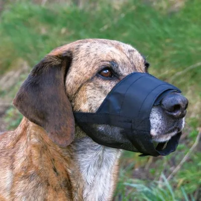 Купить Намордник Trixie для собак, пластиковый, S 17 см (чёрный) в  Danio.com.ua