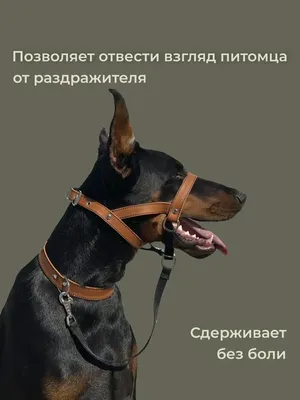 Намордник для собак Bronzedog универсальный неопреновый розовый L купить 🐾  BiZOOn