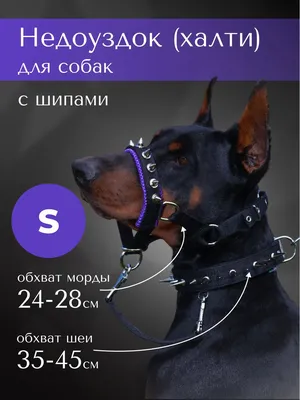 Купить Намордник Trixie для собак, с сетчатой вставкой, полиэстер, L-XL  22-34 см/28-46 см (чёрный) в Danio.com.ua