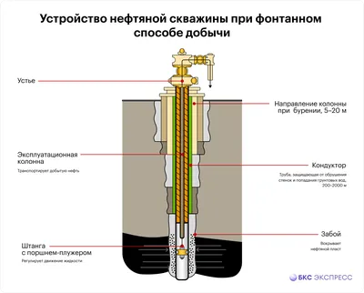 Дачные раскопки: можно ли найти у себя на участке нефть и другие полезные  ископаемые