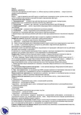 Пластический хирург и психолог рассказали, что поможет бывшей жене Андрея  Аршавина вернуться к нормальной жизни - Вокруг ТВ.