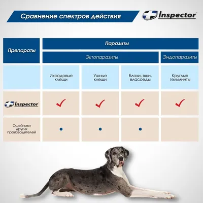 Глисты у собаки: симптомы и лечение, признаки, виды, гельминты у щенков