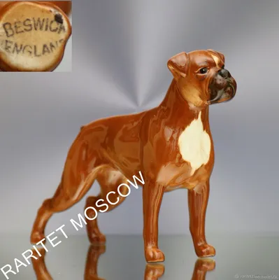 Фигурка Papo немецкий Боксер Собака 7 см, Папо 54019 - купить с доставкой  по выгодным ценам в интернет-магазине OZON (824988046)