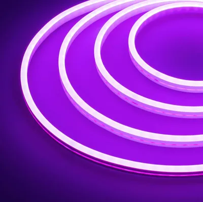 Неон гибкий PJ Neon 5473744 5м фиолетовый - купить в Москве, цены на  Мегамаркет