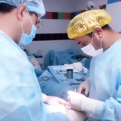 dr.cheprasov | Ulyanovsk