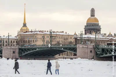 Нева превратилась в Невский проспект. Народ - в восторге!