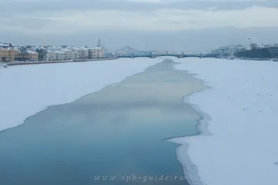 Нева превратилась в Невский проспект. Народ - в восторге!