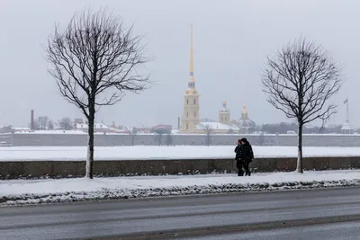 Ландшафт зимы города Зима Санкт-Петербург Морозный день на реке Neva Зима  Россия Стоковое Изображение - изображение насчитывающей закат, историческо:  99280657