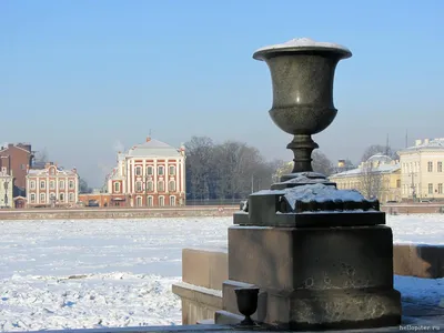 Нева почти полностью покрылась льдом