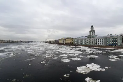 Сколько градусов в Питере зимой?