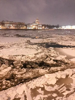 Петропавловская крепость в санкт-петербурге, россия. зимний пейзаж, лед на  неве. | Премиум Фото