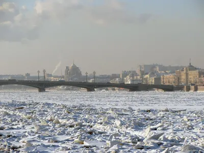 Нева встала. Мороз и солнце, день чудесный