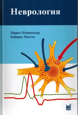 ФГБУЗ ЦМСЧ №91 ФМБА России :: 1 декабря - Международный день невролога