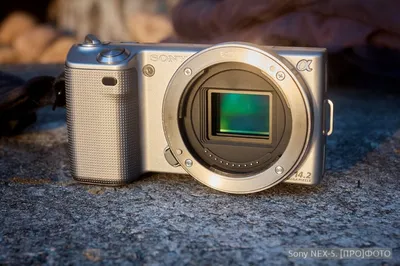 Keeping It in the (Sony NEX) Family - mediageek