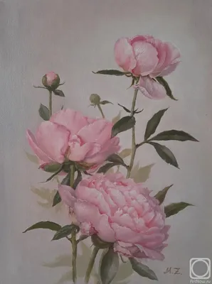 Нежный букет из 9 пионов «Peony♥»