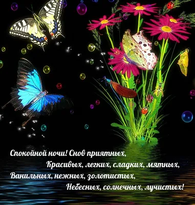 Спокойной ночи картинки: красивые необычные нежные | Спокойной ночи, Ночь,  Забавные иллюстрации