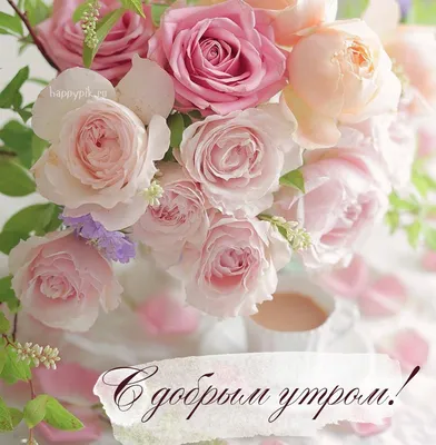 Красивые пожелания с добрым утром: стихи, проза, открытки - МЕТА