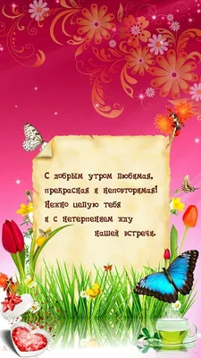 С Добрым Утром! )))) в разделе «Песочница» 05.12.2012 09:39:38 | Форум  Агуши - agulife.ru