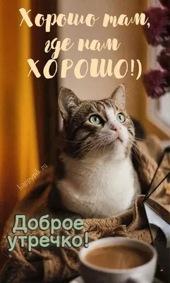 С добрым утром, любимая! 160 красивых утренних картинок
