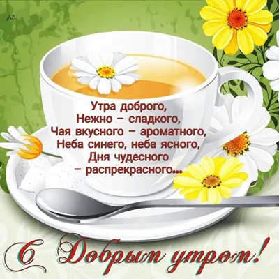 💌✨☕Необычные картинки с добрым утром 🔥. 70+ картинок! | Доброе утро,  Веселые картинки, Кошачьи цитаты