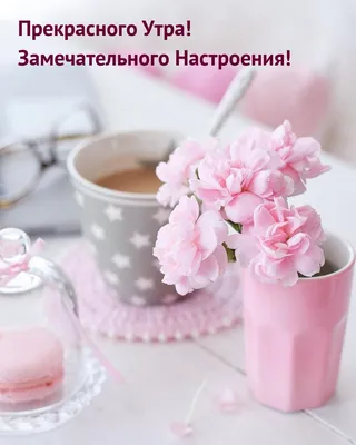 Фотообои Нежные цветы на розовом фоне купить в Москве, Арт. 13-068 в  интернет-магазине, цены в Мастерфресок