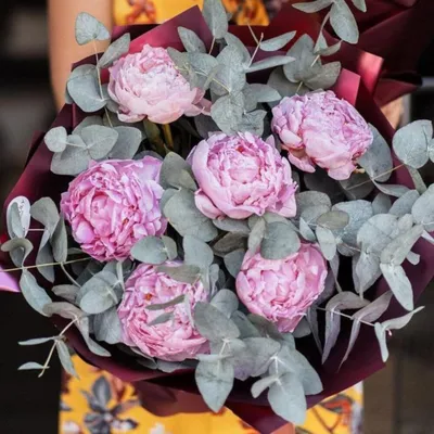 25 нежно-розовых пионов Гардения | купить недорого | доставка по Москве и  области