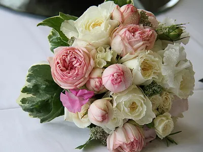 Цветы живые свадебный букет невесты из розовых роз 21 шт. / Лэтуаль Flowers  купить по доступной цене с доставкой в интернет-магазине OZON (598125105)