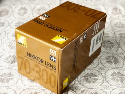 Nikon Nikkor AF-P 70-300 mm f/4.5-5.6E ED VR пример фотографии 1016969118