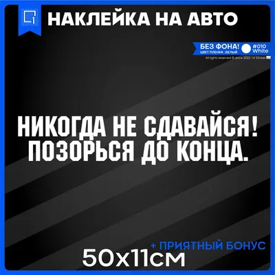 День «Никогда не сдавайся» 2023, Новошешминский район — дата и место  проведения, программа мероприятия.