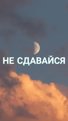 НИКОГДА НЕ СДАВАЙСЯ! ПОЗОРЬСЯ ДО КОНЦА.\" Poster for Sale by anberart |  Redbubble