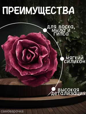 Букет 7 кустовых роз Николь — купить в Екатеринбурге