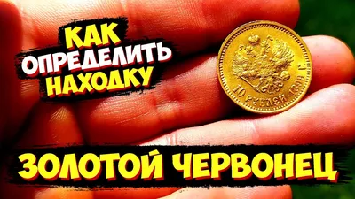 Выкопал в поле золотой червонец Николая II. Полагая, что продам находку, я  сильно ошибался. | Интересный Канал | Дзен