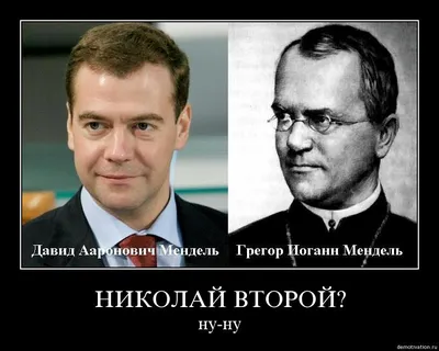 Фото Николая 2 медведева: живые обои для вашего экрана