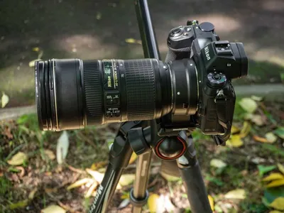 Большой бой: сравнение объективов 24-70мм Nikkor F и Nikkor Z - Photar.ru