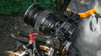 Nikon 24-70/2.8 – мой главный объектив. Потестил новейшую версию для  беззеркалок