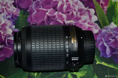 Nikon 55-200mm f/4-5.6G AF-S DX VR IF-ED Zoom-Nikkor - «Прекрасный  телеобъектив для фотоохоты и репортажной съемки! Много достоинств, в том  числе цена. Примеры фото, сделанных в разных условиях.» | отзывы