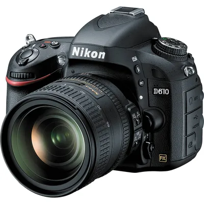 Полный кадр Nikon D800. Примеры фото на фишай Nikon 16mm f/2.8, на  портретник, макрик, репортажник и телевик | Блог начинающего фотографа и  путешественника