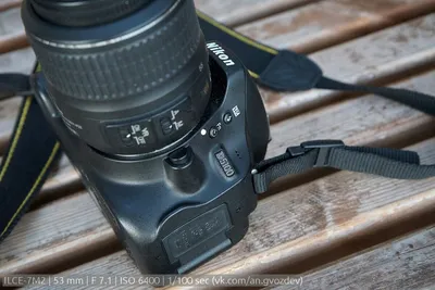 Пара :: Объектив: Nikon AF-S DX Nikkor 16-85 mm f/ 3.5-5.6 G ED VR -  тестовая фотография :: Lens-Club.ru