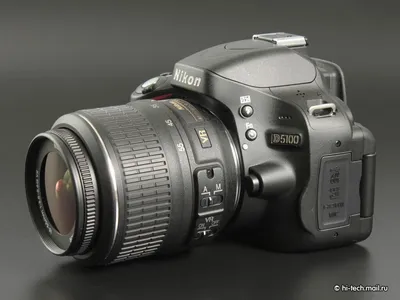 Nikon D5100 пример фотографии 253003107