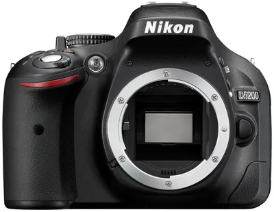 Nikon D5200 пример фотографии 229363431